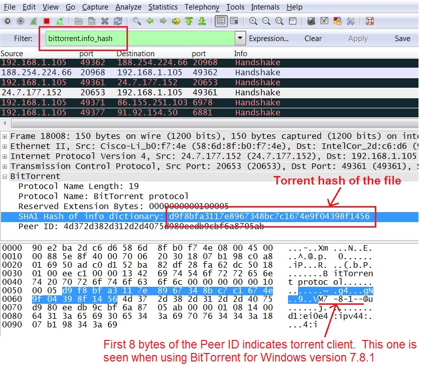 what is wireshark pdf
